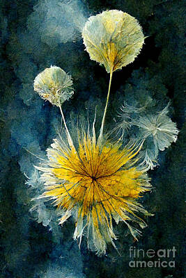 Florals Digital Art - Dandelion abstract by Sabantha