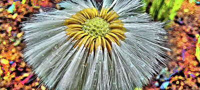 Travel Pics Digital Art Royalty Free Images - Dandelion. Royalty-Free Image by Andy i Za