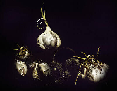 Food And Beverage Digital Art - Dark Garlic Still Life  by Shelli Fitzpatrick