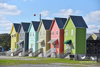 Colorful Fish Xrays - Dauphin Island Houses by Catherine Sherman