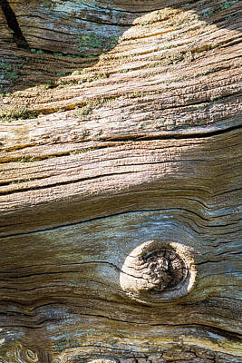 Abstract Landscape Photos - Dead fallen trees tha are on the ground in pieces by David Ridley