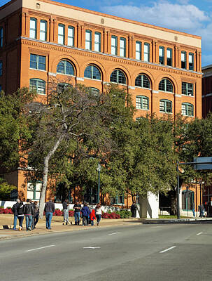 Graphic Trees Royalty Free Images - Dealey Plaza Royalty-Free Image by Ricky Barnard
