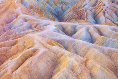 Royalty-Free and Rights-Managed Images - Death Valley Lives by Darren White