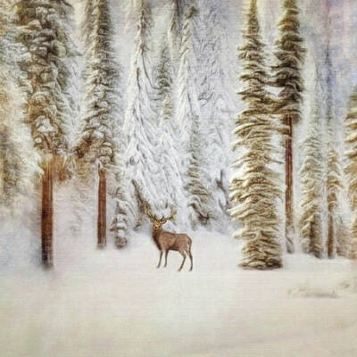 Mammals Mixed Media - Deer In The Snowy Forest  by Antonia Surich