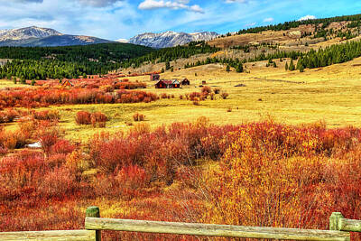 Desert Plants - Deerlodge, Montana autumn colors by Tatiana Travelways