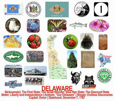 Beer Photos - Delaware State Symbols by Robert Banach