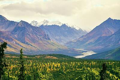 Marvelous Marble Royalty Free Images - Denali Peaks and Valleys  Royalty-Free Image by Gary F Richards