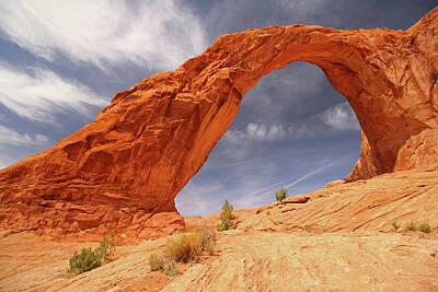 The Dream Cat - Desert Rock Arch by Dan Ross