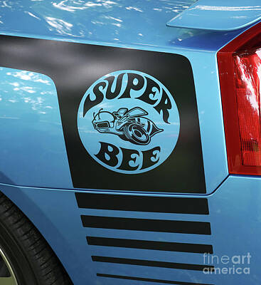 Fruit Photography - Dodge Charger Super Bee Emblem 1710 by Jack Schultz