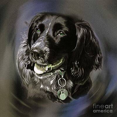 Michael Tompsett Maps - Dog Portrait 01 by Gull G