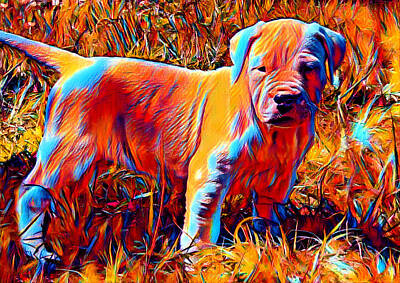 Vintage College Subway Signs Color - Dogo Argentino puppy in the grass - colorful dark orange, red and cyan by Nicko Prints