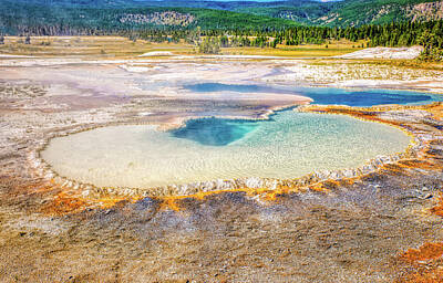 Sultry Plants Rights Managed Images - Doublet Pool in Yellowstone National Park Royalty-Free Image by Peter Ciro