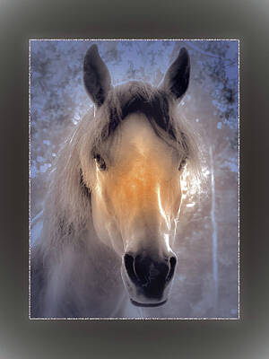 Spring Fling - Dreaming Of This Paso Fino Mare by Patricia Keller