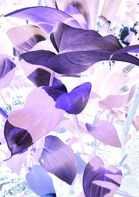 Lilies Digital Art - Dreamy Lily Leaves by Loraine Yaffe