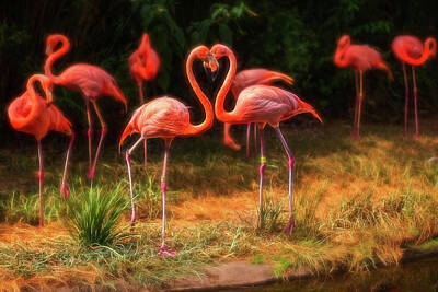 Kids Cartoons - Dreamy Love Flamingos by Steve Rich