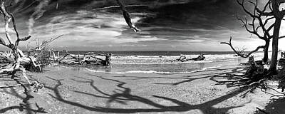 Lovely Lavender - Driftwood Beach Panorama Shadows 107 by Bill Swartwout