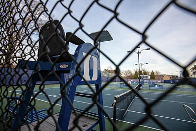 Animal Paintings David Stribbling - Duke Tennis Court and Fence  by John McGraw