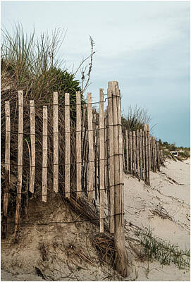 Spiral Staircases - Dune Fences by Suzy Quigley