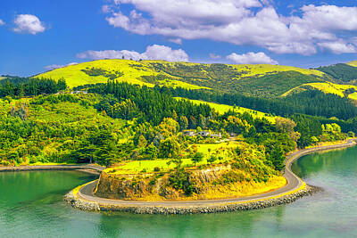 Beach Photo Rights Managed Images - Dunedin Bay Royalty-Free Image by Dr K X Xhori