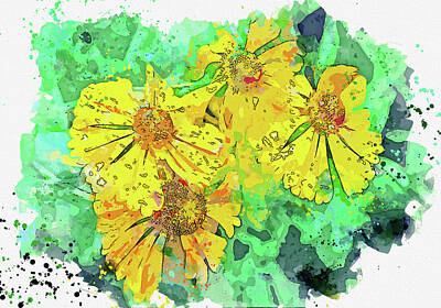 Royalty-Free and Rights-Managed Images - Dunked daisies, watercolor, ca 2020 by Ahmet Asar by Celestial Images