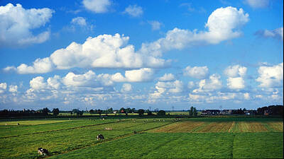 Roaring Red - Dutch farmland by Rudy Umans
