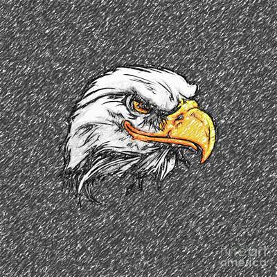 Birds Drawings - Eagle sketch by Darrell Foster