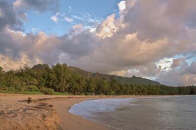 Brilliant Ocean Wave Photography - Early Morning Beach Walk Kauai by Heidi Fickinger