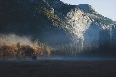 Target Threshold Coastal - Early Yosemite Morning by Misty Tienken