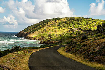 Neutrality - East End Road leading to Point Udall of Saint Croix, US Virgin Islands by William Dickman
