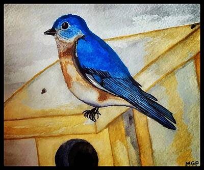Portraits Paintings - Eastern Bluebird W/ Border by Michael Panno