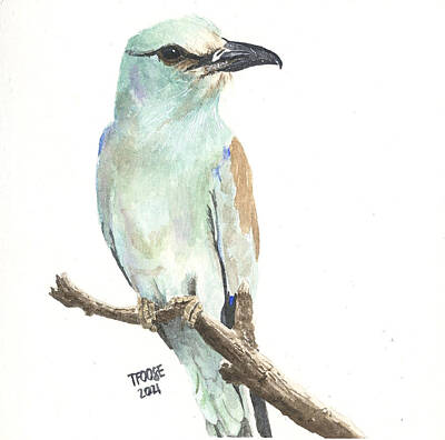 Featured Tapestry Designs - Eastern Roller by Taphath Foose