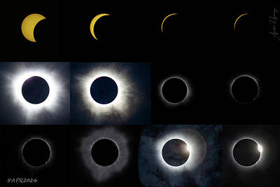 Amy Hamilton Animal Collage - Eclipse April 8th 2024 x12 by Agustin Uzarraga
