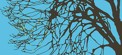 Sean Davey Underwater Photography Rights Managed Images - Edit This 72 - Walnut Tree in Neurographic Style - PNG Royalty-Free Image by Only A Fine Day