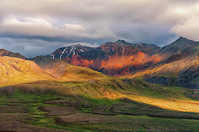Royalty-Free and Rights-Managed Images - Eielson Landscape by Tim Rains