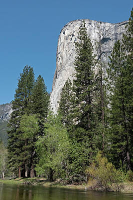 License Plate Skylines And Skyscrapers Rights Managed Images - El Capitan, Yosemite National Park. Royalty-Free Image by Jack Nevitt