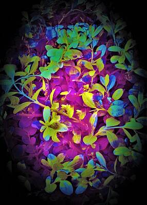 Vintage Magician Posters - Elliptic Floral Glow no. 9 by Sara Adams