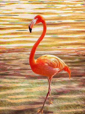 Palm Trees Rights Managed Images - Eternal Inferno Flamingo Royalty-Free Image by Hillary Kladke