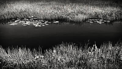 Mt Rushmore - Everglades Canal in Black and White by Rudy Umans