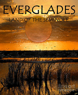 Birds Mixed Media - Everglades land of the Seminole poster work A by David Lee Thompson