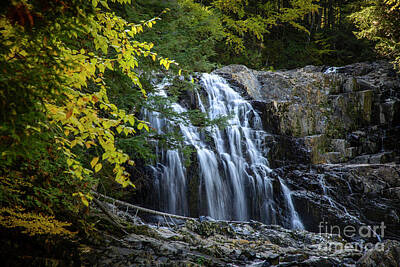 Black And White Line Drawings - Fall Colors at Houston Brook Falls by Alana Ranney