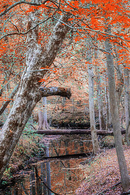Urban Abstracts - Fall Foliage on a Wooded Creek by Bob Decker