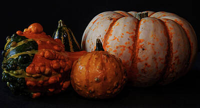 Lori A Cash Royalty-Free and Rights-Managed Images - Fall Gourds and Pumpkin by Lori A Cash
