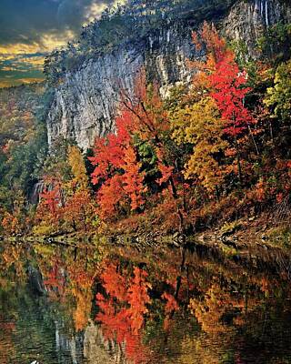 Terry Oneill - Fall on the Buffalo C by Marty Koch