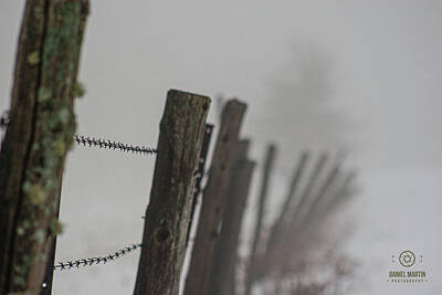 Let It Snow - Falling barriere .. by Daniel Martin