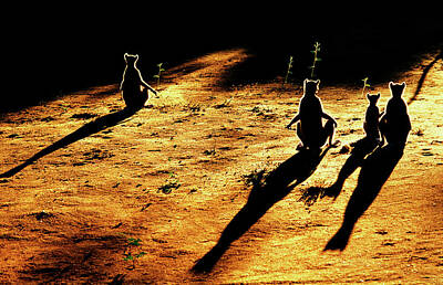 Prehistoric Dinosaurs - Family of lemurs sunbathing at dawn by Colin Radford