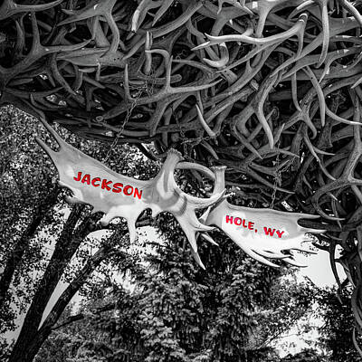 Easter Bunny - Famous Antler Sign On The Jackson Hole Town Square - Selective Color 1x1 by Gregory Ballos