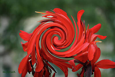 Lilies Mixed Media - Fantastic Canna Lily Swirl by Maria Faria Rodrigues