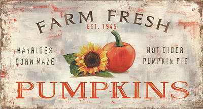 Royalty-Free and Rights-Managed Images - Farm Fresh Pumpkins 1 by Debbie DeWitt