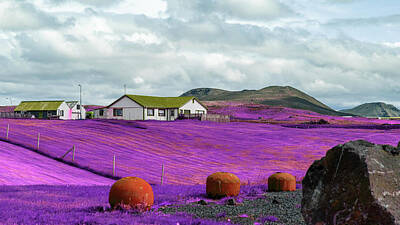 Michael Jackson Rights Managed Images - Farmland Near Mountains - Infrared - Purple Royalty-Free Image by Celestial Images