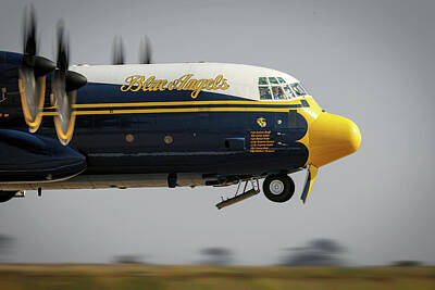 Sunflowers Rights Managed Images - Fat Albert Airlines Take Off Royalty-Free Image by Bill Chizek